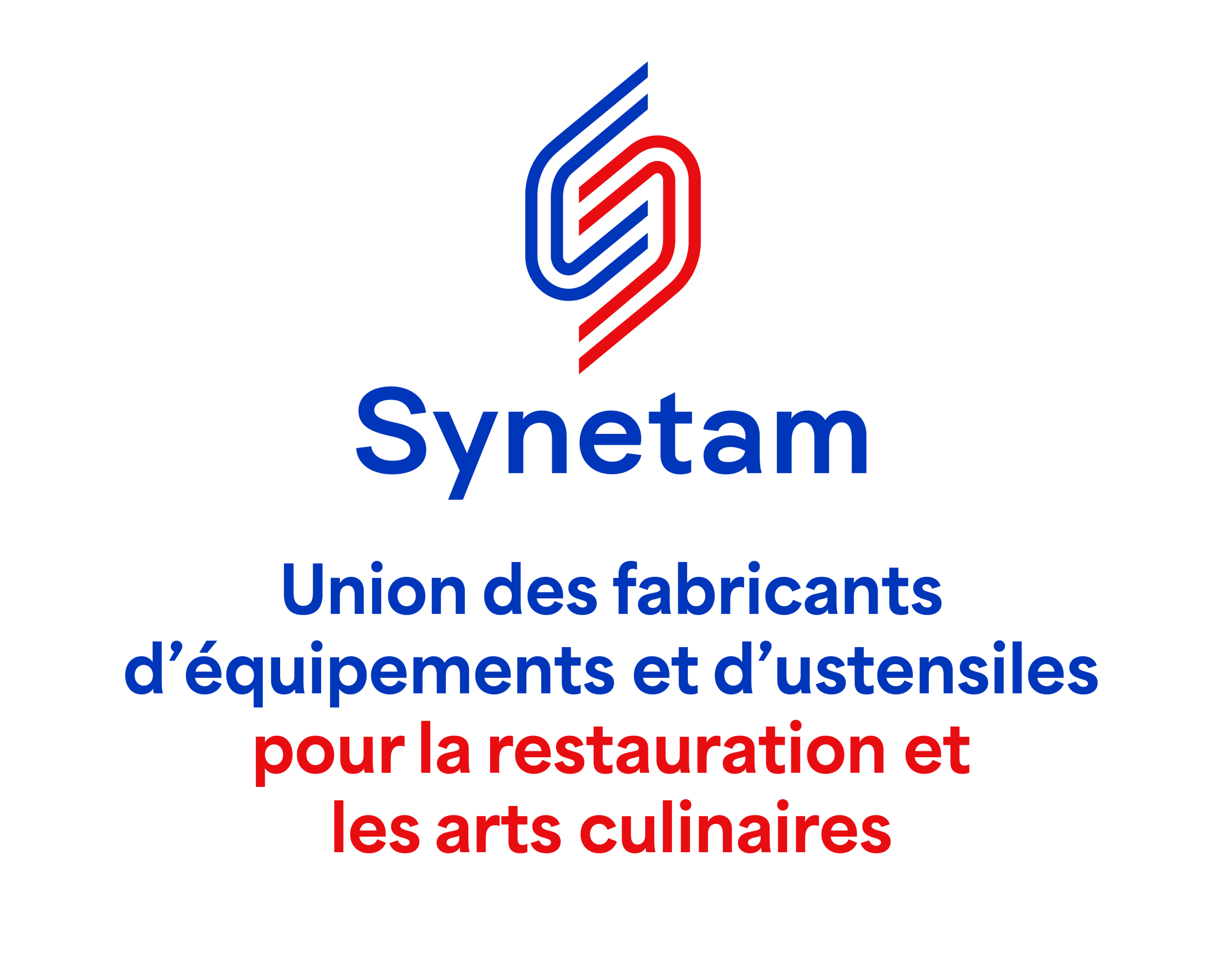 076_logoSYNETAM002.png