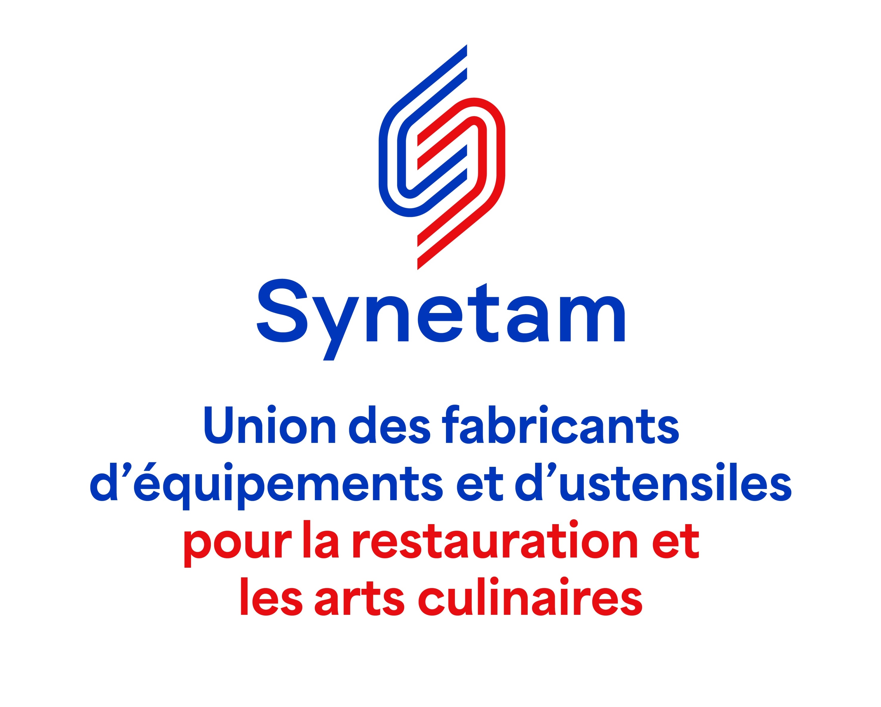 076_logoSYNETAM.jpg