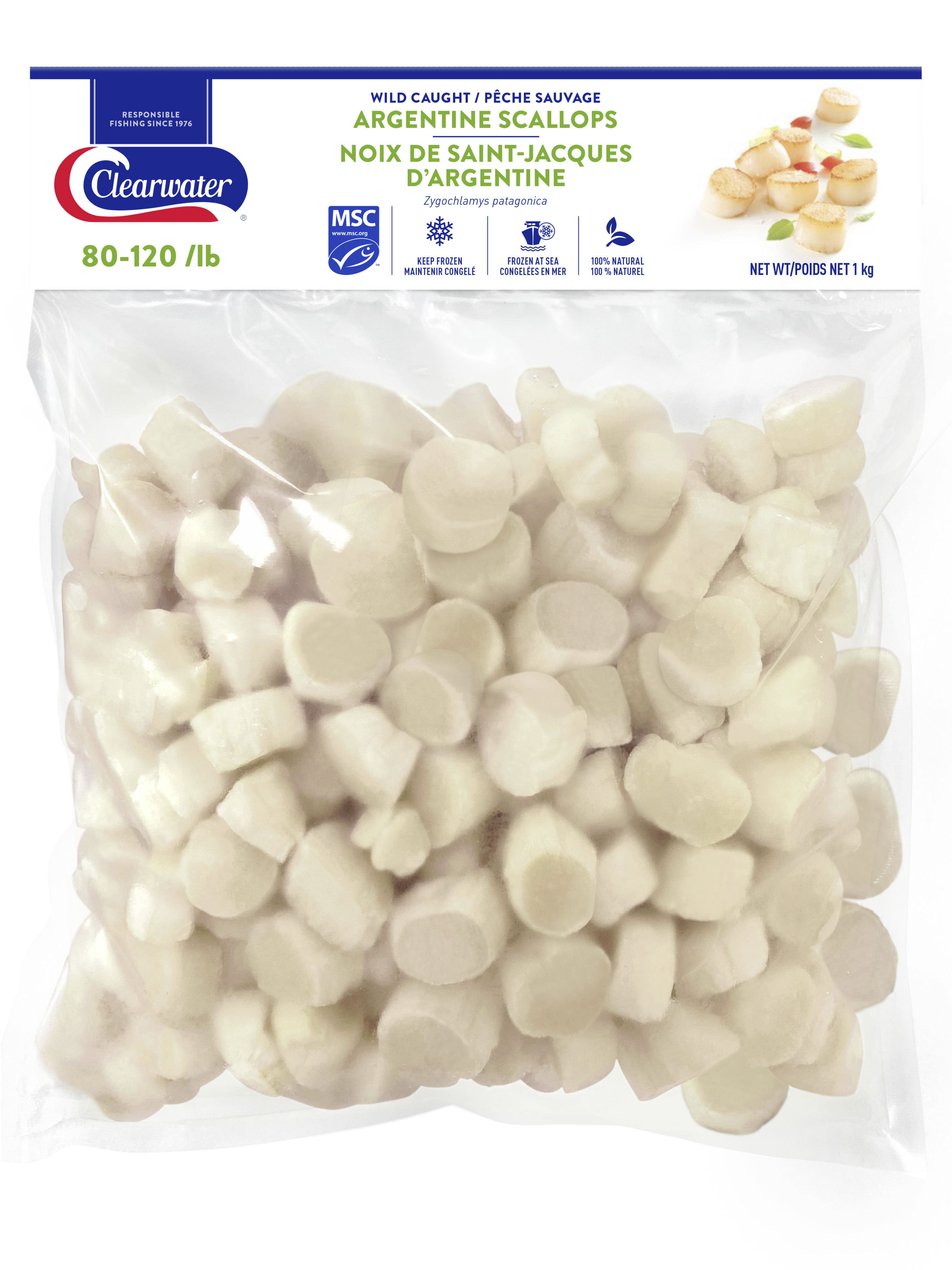 CLEARWATERArgentineScallops1kg.jpg CLEARWATERArgentineScallops1kg.jpg