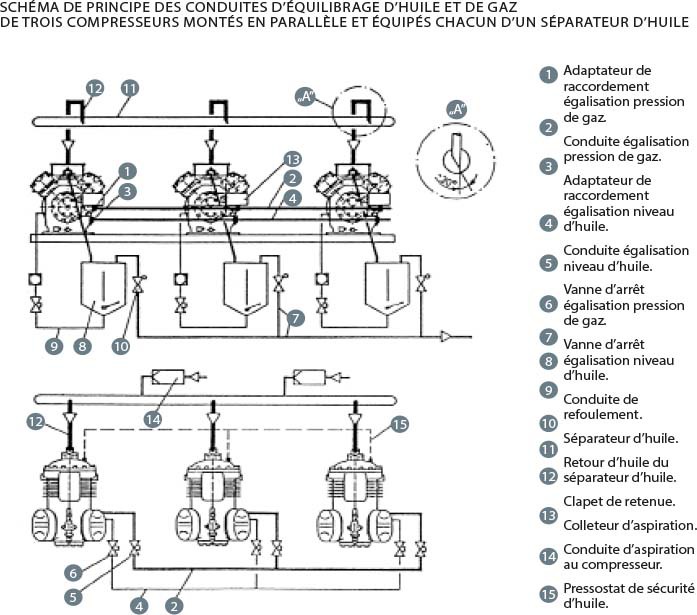 ShEma-rpf-dossier-1096.jpg ShEma-rpf-dossier-1096.jpg