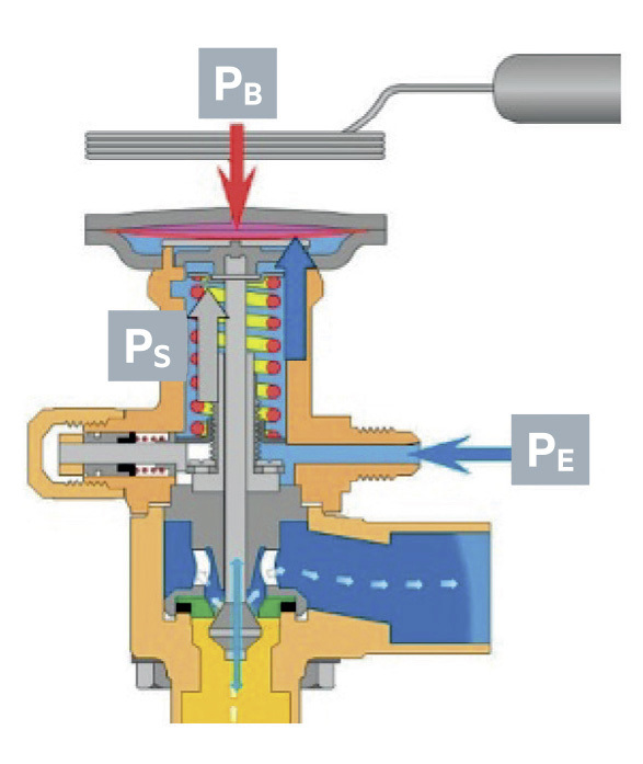 figure1.jpg