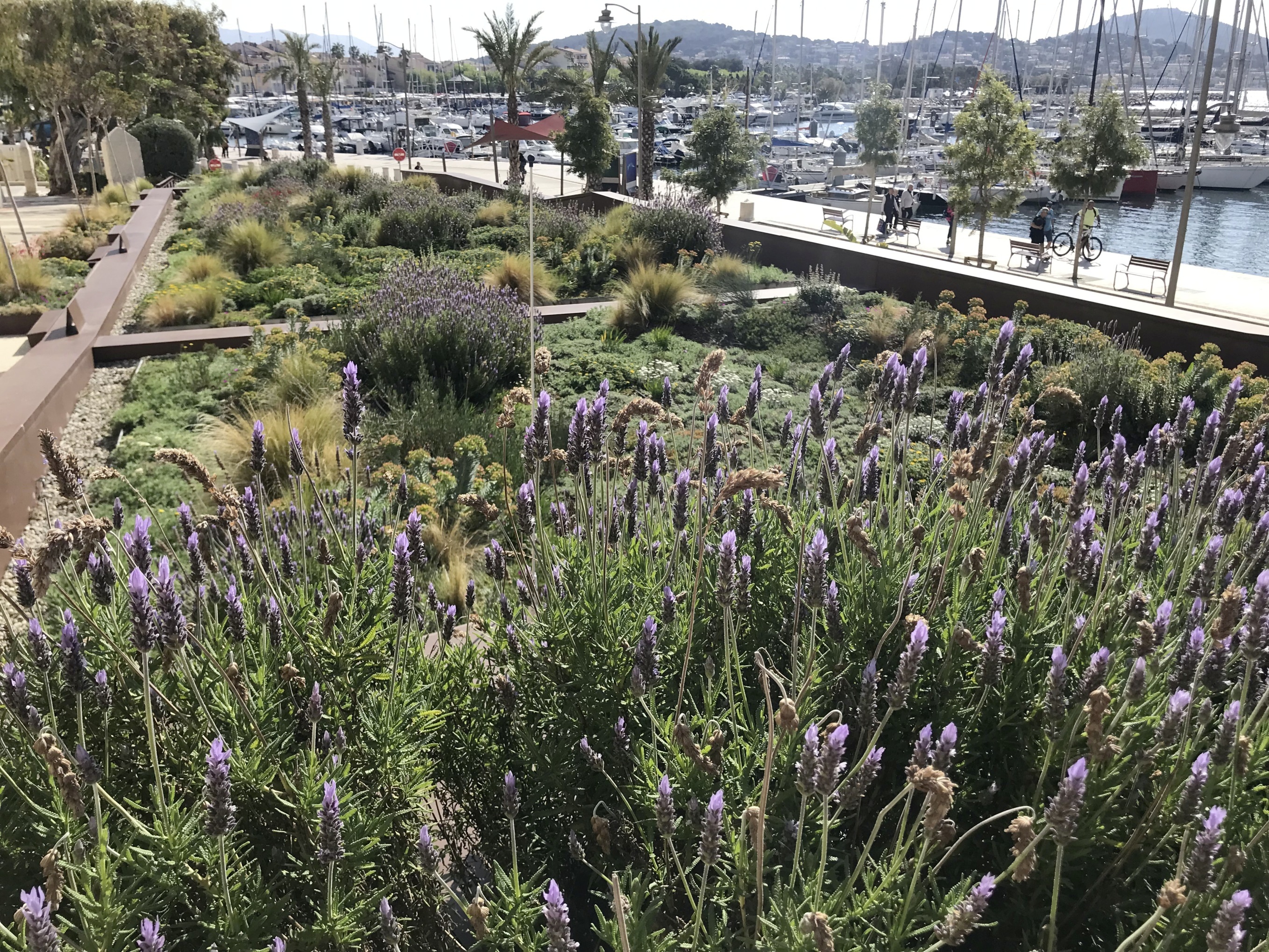 SanarySurMer_Ecovegetal.JPG SanarySurMer_Ecovegetal.JPG